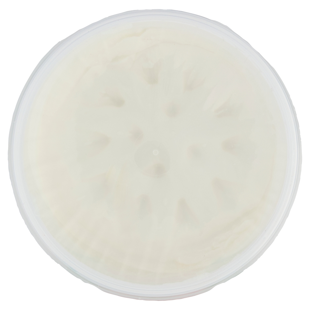 Caseificio Longo Ricotta del Boscaiolo 400 g